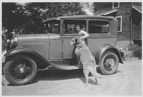 woman, dog, car